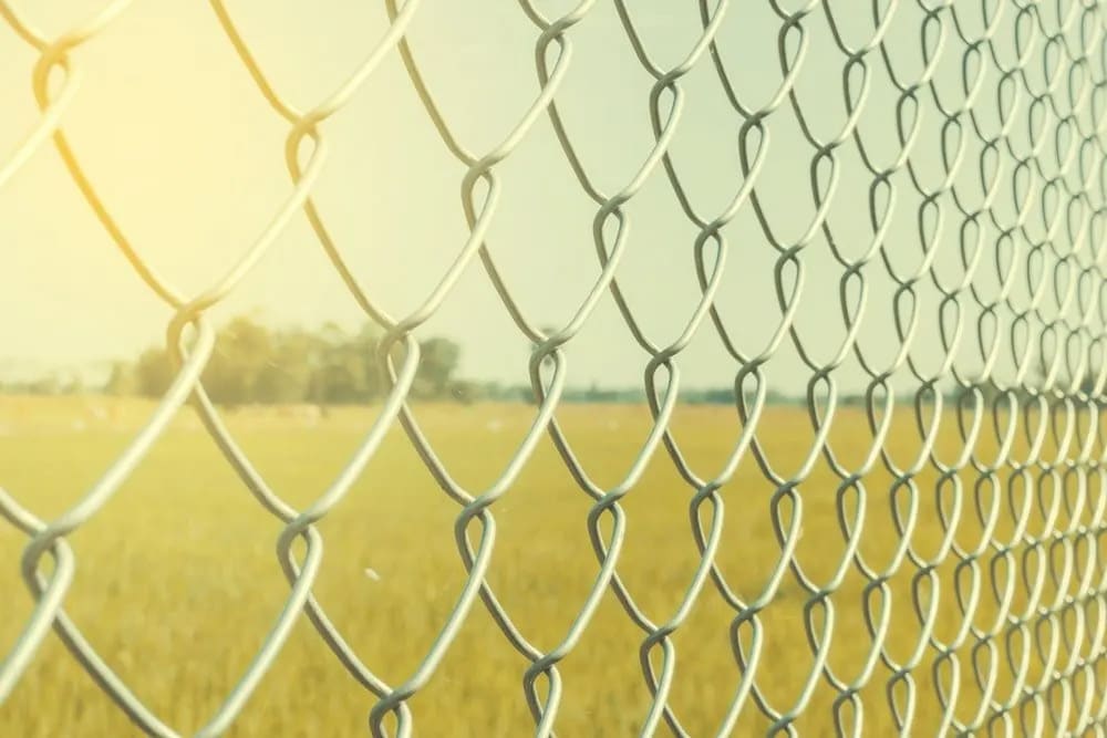 Chain Link Fencing