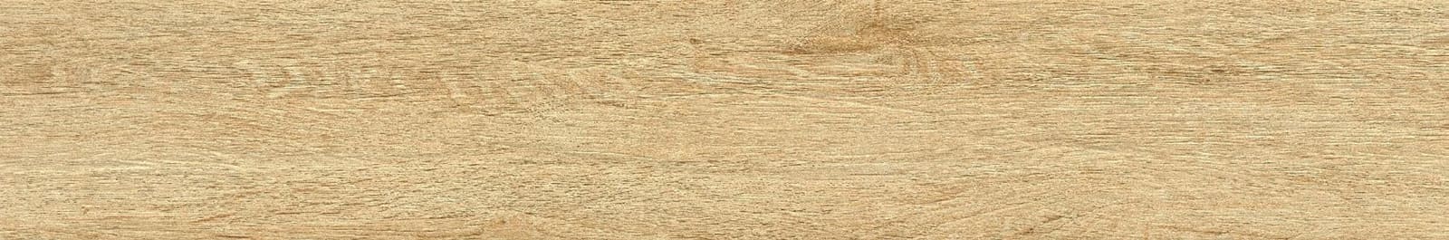 Wood-Grain Porcelain Tile — Warm Brown